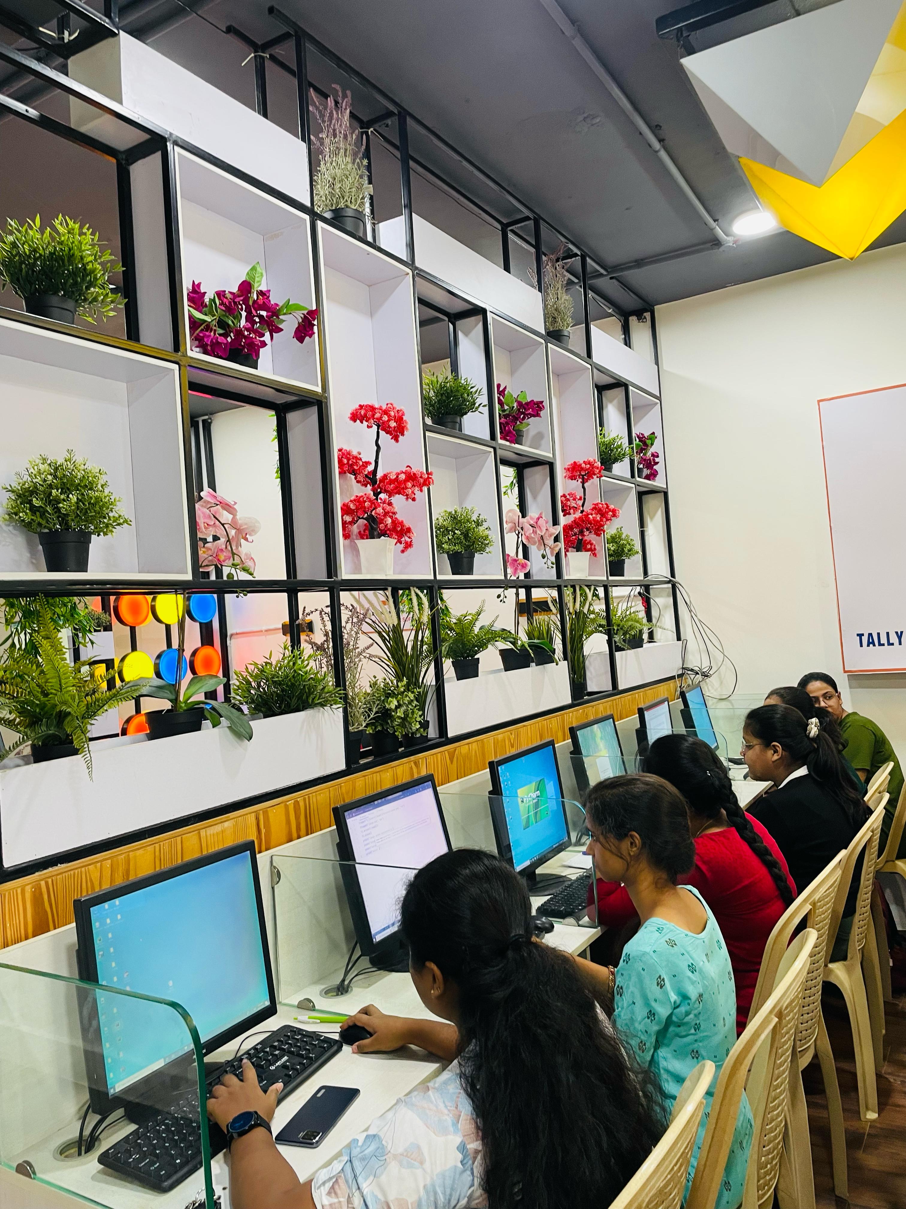 ss tally and digital marketing training institute